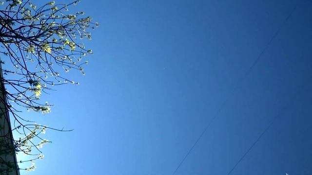 11 мая 2020 г. Часть 2 . смотреть онлайн