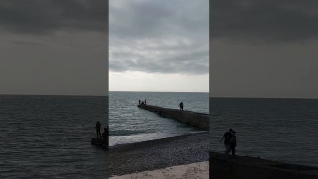 море альбатрос смотреть онлайн