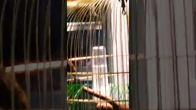 13 ноября 2022 г. смотреть онлайн