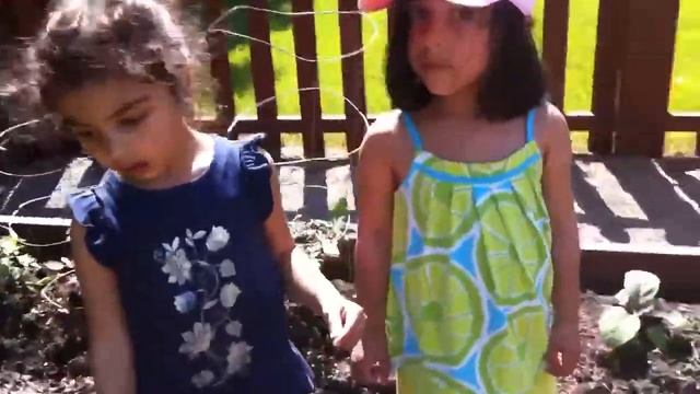 Mira garden tour смотреть онлайн