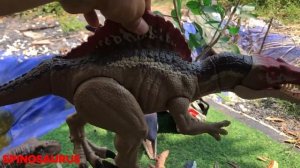 Amazing Jurassic World Collection: Giant T-REX, Indominus Rex, Giganotosaurus, Spinosaurus & other!