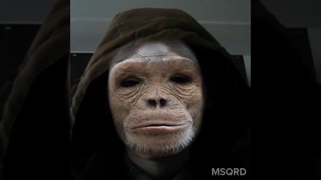 Прикол дня смотреть онлайн