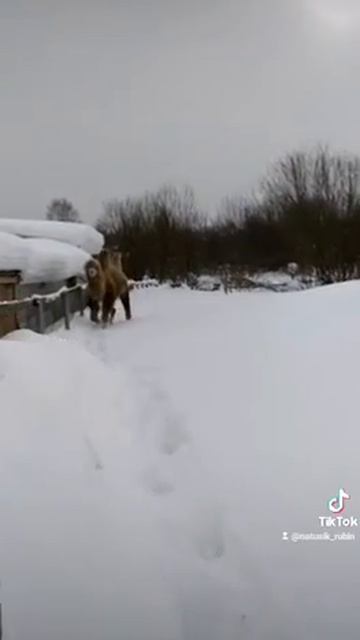 18 февраля 2021 г. смотреть онлайн