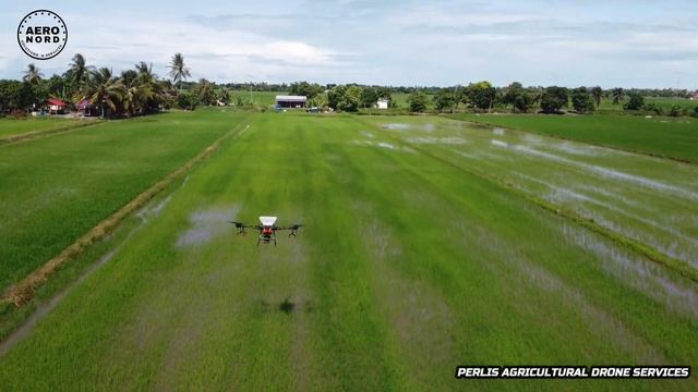 Tabur Baja Urea & Campuran Menggunakan DJI Agras T16 смотреть онлайн