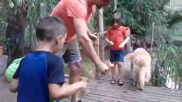 Сенсация!Поймали золотую рыбку! смотреть онлайн