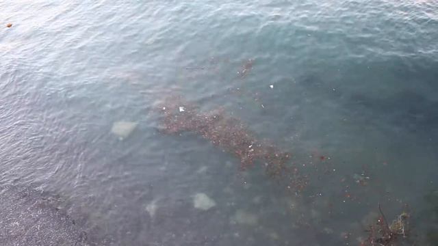 Гребанный морской срач в Судаке смотреть онлайн