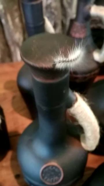 Гусеница в Абхазии смотреть онлайн