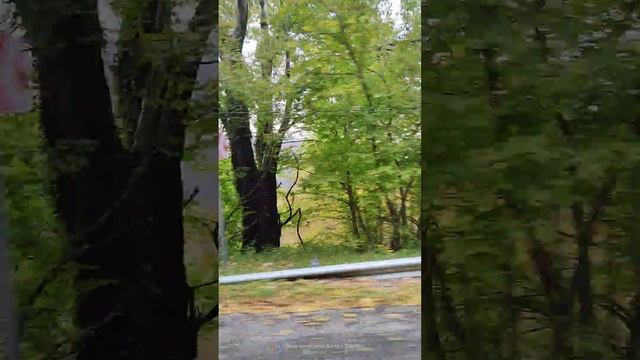 #серпантин #горы #приключение #друзья #vlog #blog Автостопом по серпантину смотреть онлайн