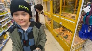 Я купил БЕЛКУ дегу!!!