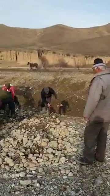 Ак-жар келечеги учун смотреть онлайн