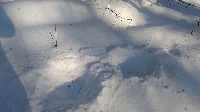 Какая Петарда Мощнее? | Тест петард серии Crazy Robots | Взрываем мощные петарды корсар 8 смотреть онлайн