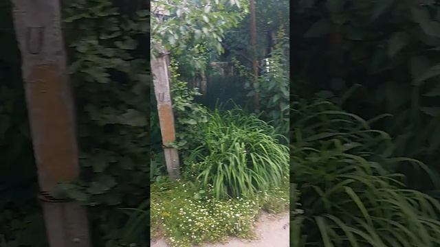 с пустя 3 года овсиенко стас продолжает издеваться иугрожать выносить мозги смотреть онлайн