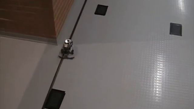 cataglyphis ants with LEGO смотреть онлайн