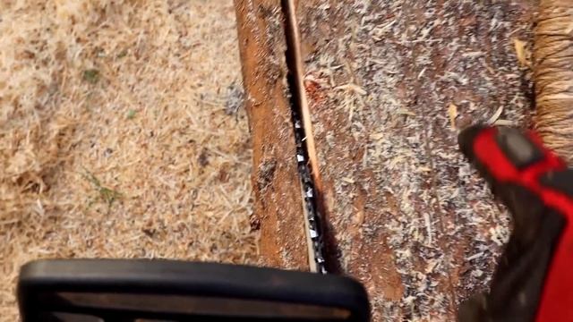 All You Need Is A Chainsaw смотреть онлайн