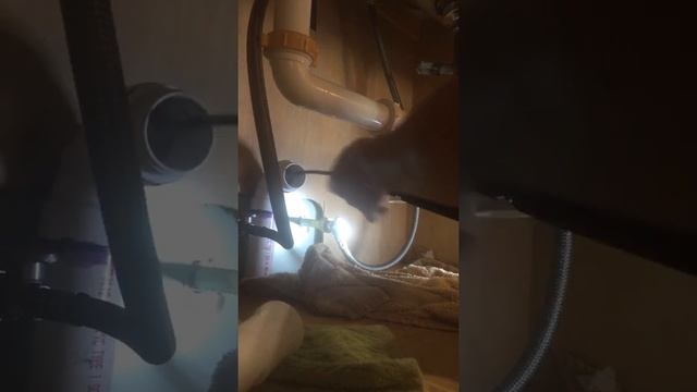 How to unclog a kitchen sink with a snake 🐍 смотреть онлайн