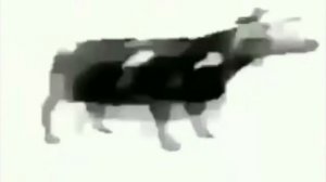 польская корова тансует (1 час)