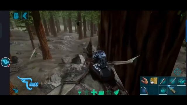 AKHIRNYA BISA TAMING ARCHAEOPTERYX EPS 62 || Ark Mobile Indonesia смотреть онлайн