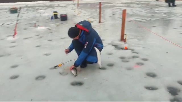 WhatsApp Video 2025-02-01 at 09.41.38 смотреть онлайн