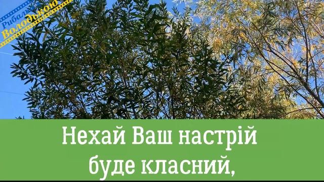 Доброго осіннього ранку! Гарні побажання з добрим ранком! Красиве побажання доброго ранку смотреть онлайн