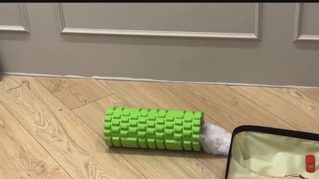 Наконец разобрали елку!