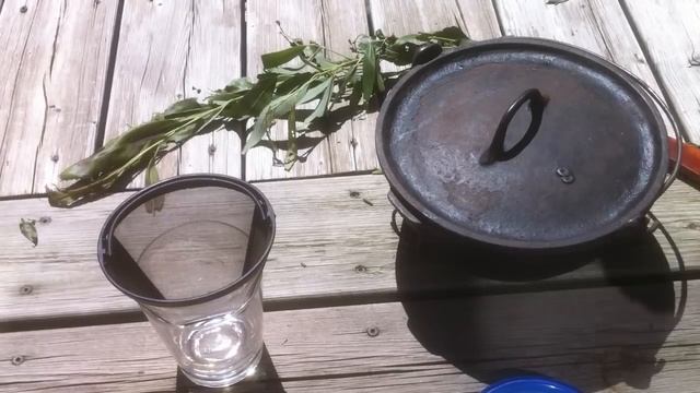 Natural Organic Rooting Hormone- Propagate Plant Cuttings Mix смотреть онлайн