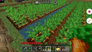 дом кота Алены в майнкрафте