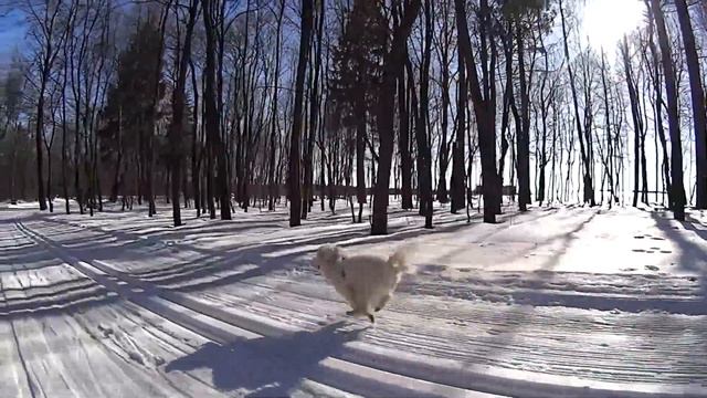 13 03 2024 . "Бросай пить, вставай на лыжи!" смотреть онлайн