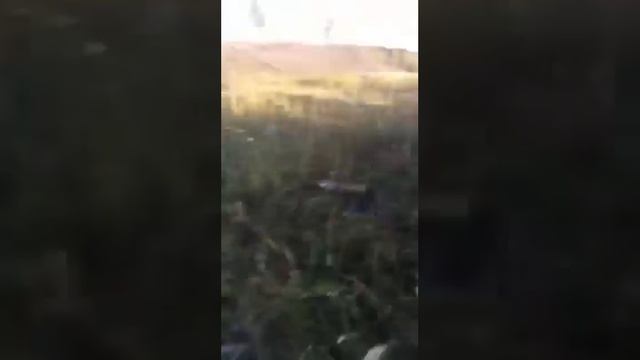 Курсы ПЕРЕГОВОРЩИКОВ! На бесплатное онлайн обучение можно записаться в ТГканале DOZORWAR смотреть онлайн