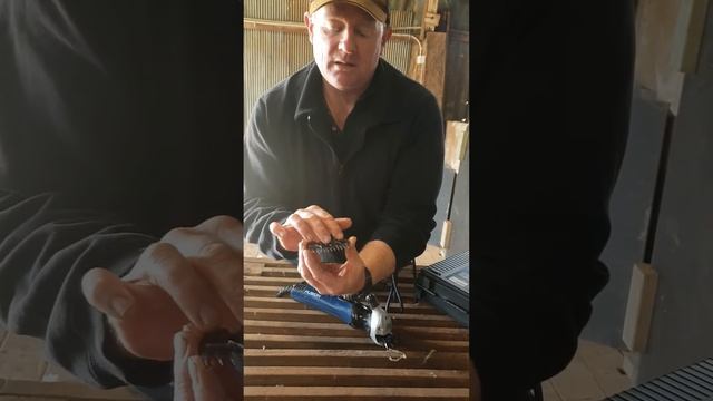 The Shearers Post How does a Shearing Comb and Cutter Blade work on a Shearing Clipper Sheeps Wool смотреть онлайн