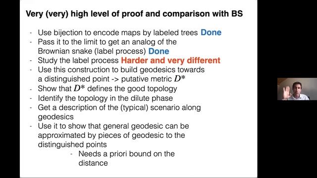 Scaling limits of planar maps with large face смотреть онлайн