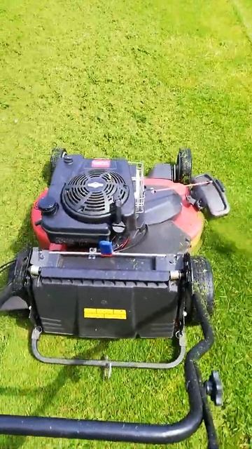 Toro TimeMaster SIDE DISCHARGE #shorts смотреть онлайн