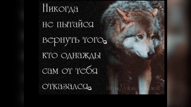 Эстетика одиноких смотреть онлайн
