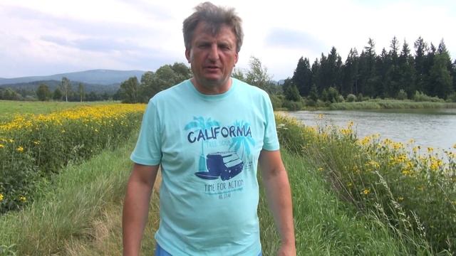 Zwycięzca z lotu Lommel 670 km ! - gołąb Wyżymacz tel . 728 465 939 смотреть онлайн