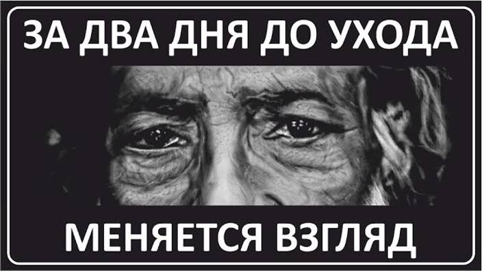 045 За пару дней до ухода меняется взгляд смотреть онлайн