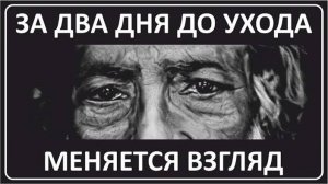 045 За пару дней до ухода меняется взгляд