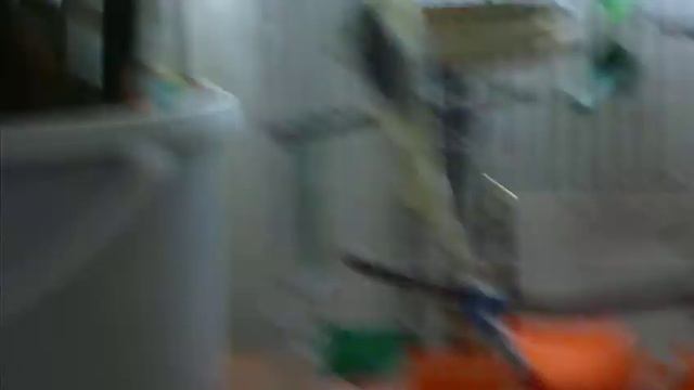 Попугай Кеша :) смотреть онлайн