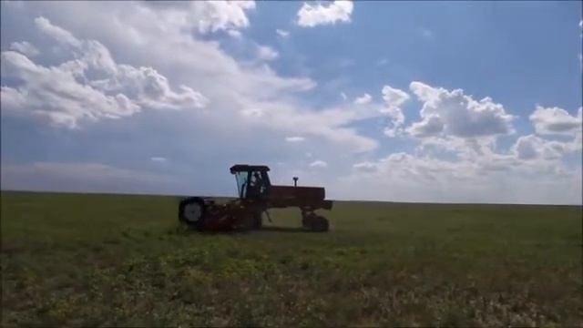 Case IH 8825HP Self-propelled Windrower For Sale | No-reserve Internet Auction September 20, 2017