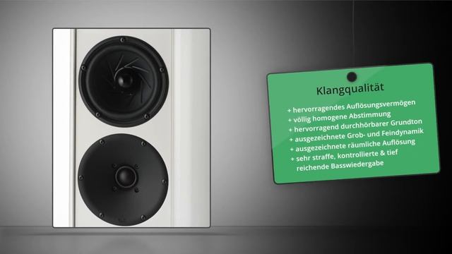 Test T+A Criterion TCD 315 S смотреть онлайн