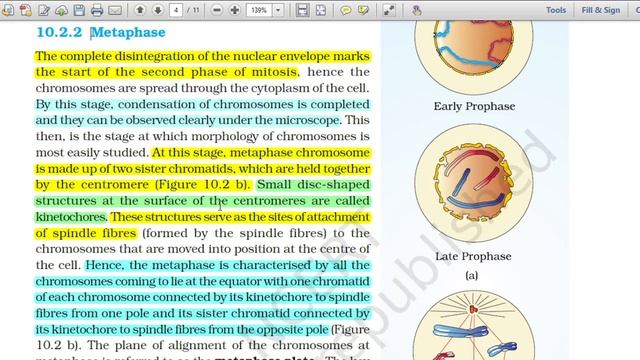 Cell Cycle and Cell Division/Metaphase/#NEETBiology/MCQ for NEET/Biology for NEET/NEET Latest Updat смотреть онлайн