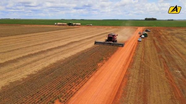 Дреперная жатка GTS Flexer XS с плавающей системой High Sense на комбайне Case IH