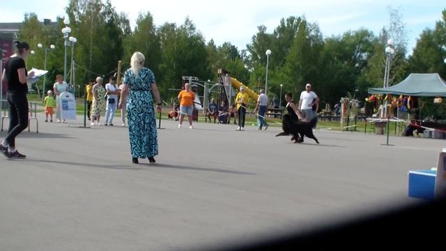 Электрогорск bestdog.mybb.ru смотреть онлайн