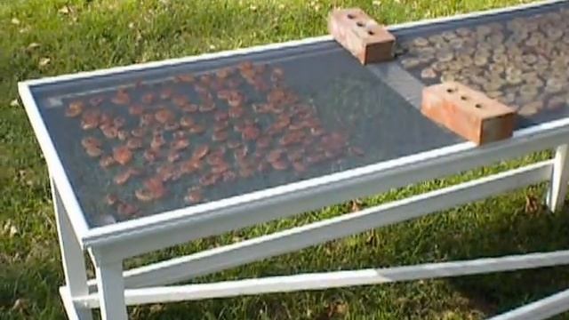 Sun Drying Apricots 1 of 5 short videos - introduction смотреть онлайн