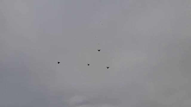 #Воронежская обл# смотреть онлайн