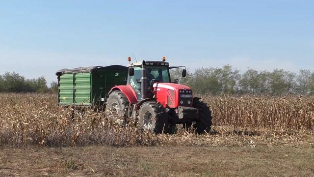 │2019.10.24.│Claas Mega 360│Kukorica aratás│Corn harvest│ смотреть онлайн