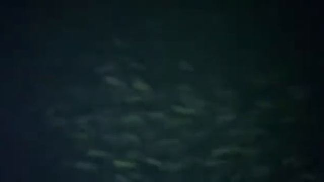А говорят нет Камчатки Рыбы))) её да Х.. смотреть онлайн