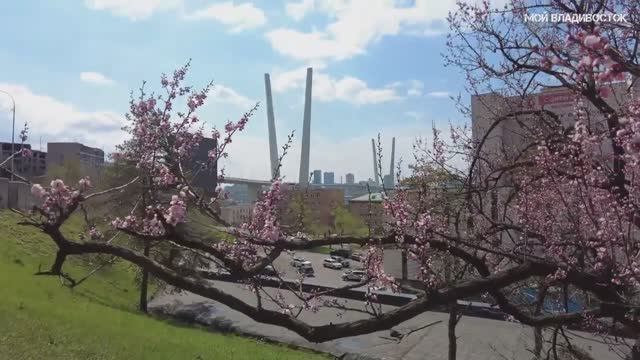 Владивосток 1 мая 2023,прогулка. смотреть онлайн