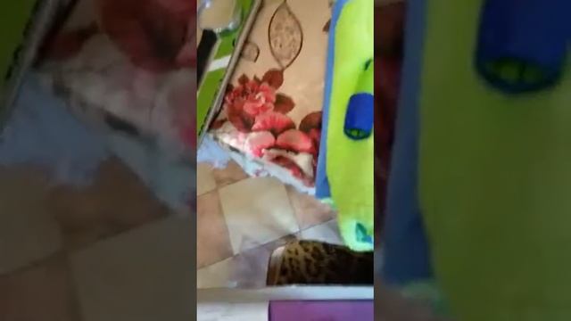 Швабра Greenway,прилетела во Владивосток. смотреть онлайн