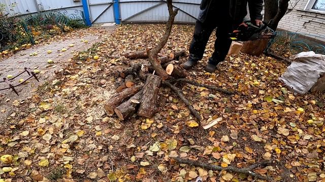 Бензопилка в роботі. Розхід пального. смотреть онлайн