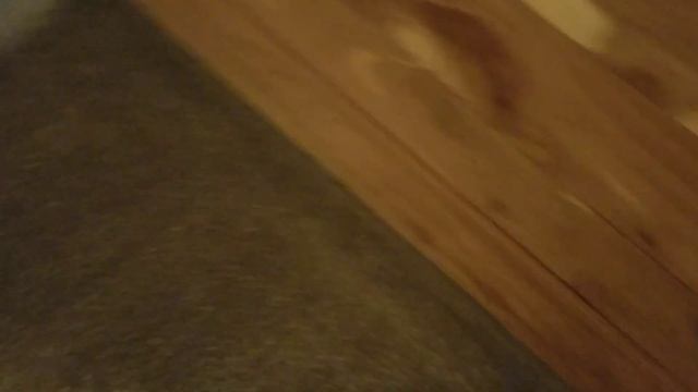 Episode 5 season 3 Carpet Cleaner vs Dirty Carpets. Watch what came out this carpet. Enough said! смотреть онлайн