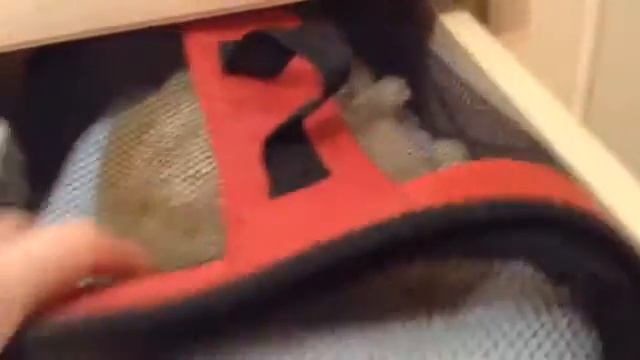 Room Tour 💕✨ смотреть онлайн